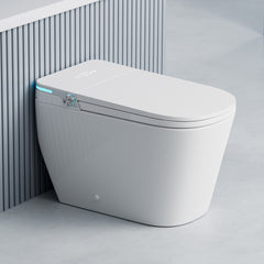 Dowell Smart Toilet With water tank, Auto cover open/close, No water pressure limitation,Whisper-quiet flushing - 093 Series