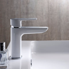 Dowell Bathroom Sink Faucet - Single Handle, Single Hole - 8001 021 Series