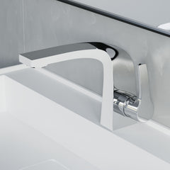 Dowell Bathroom Sink Faucet - One Handle, Single Hole - 8001 019 Series